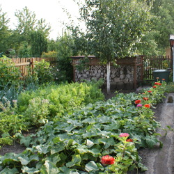 Kleingärtnerische Nutzung aus gartenfachlicher Sicht