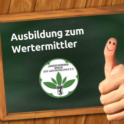 Ausgebucht! Ausbildung - Wertermittler*in für Baulichkeiten